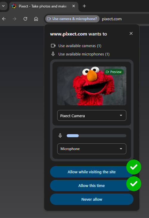 Allow camera and microphone