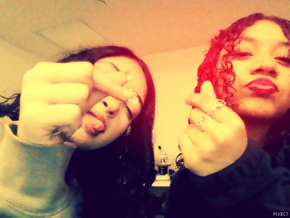 Pixect gallery photo #0rrtzDBPW