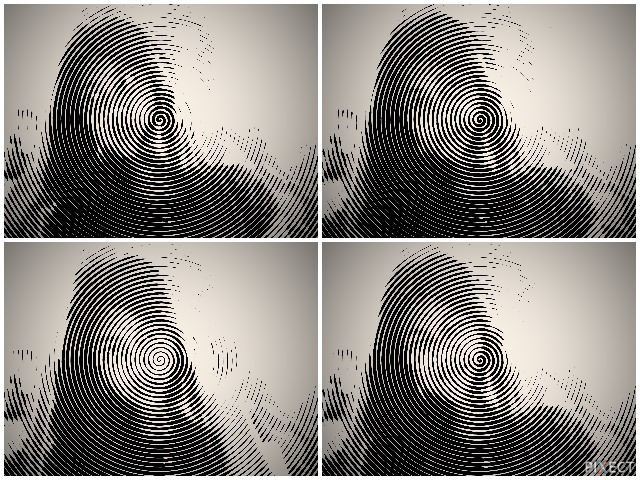 Pixect gallery photo #1U537cmd9