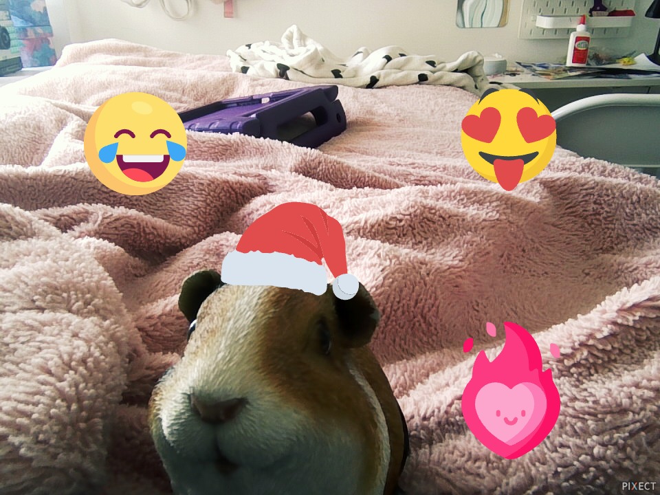 Pixect gallery photo #3O4ypKd