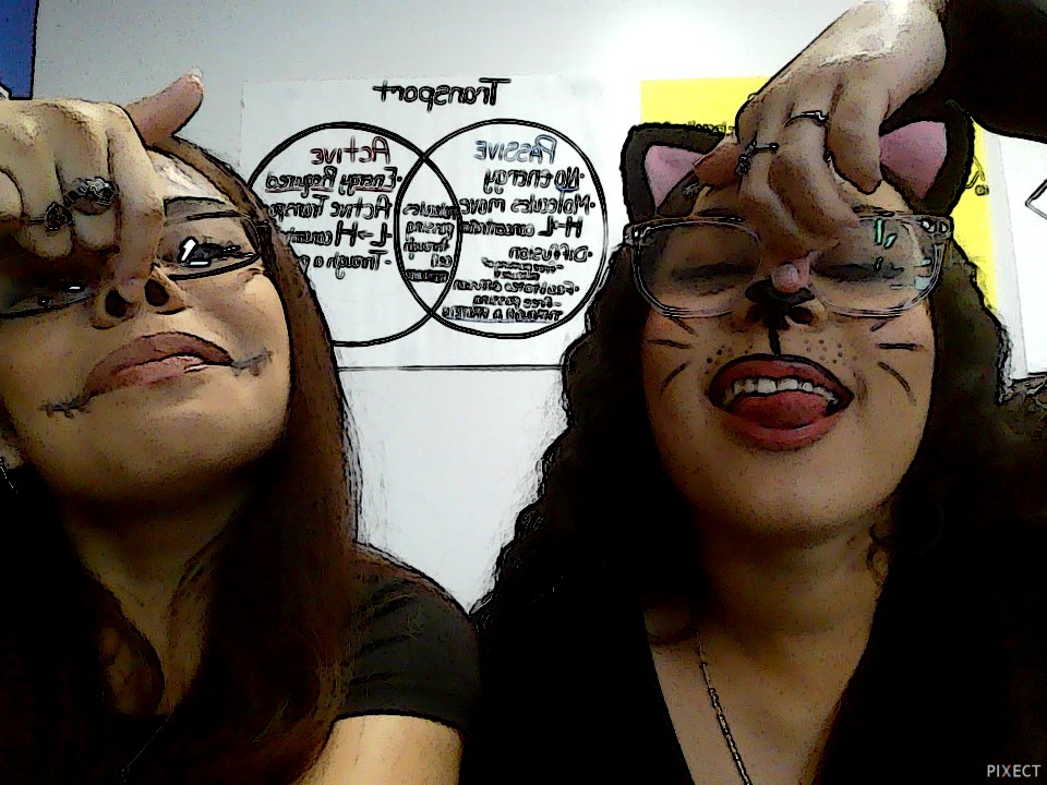 Pixect gallery photo #4Qx9g0yi9