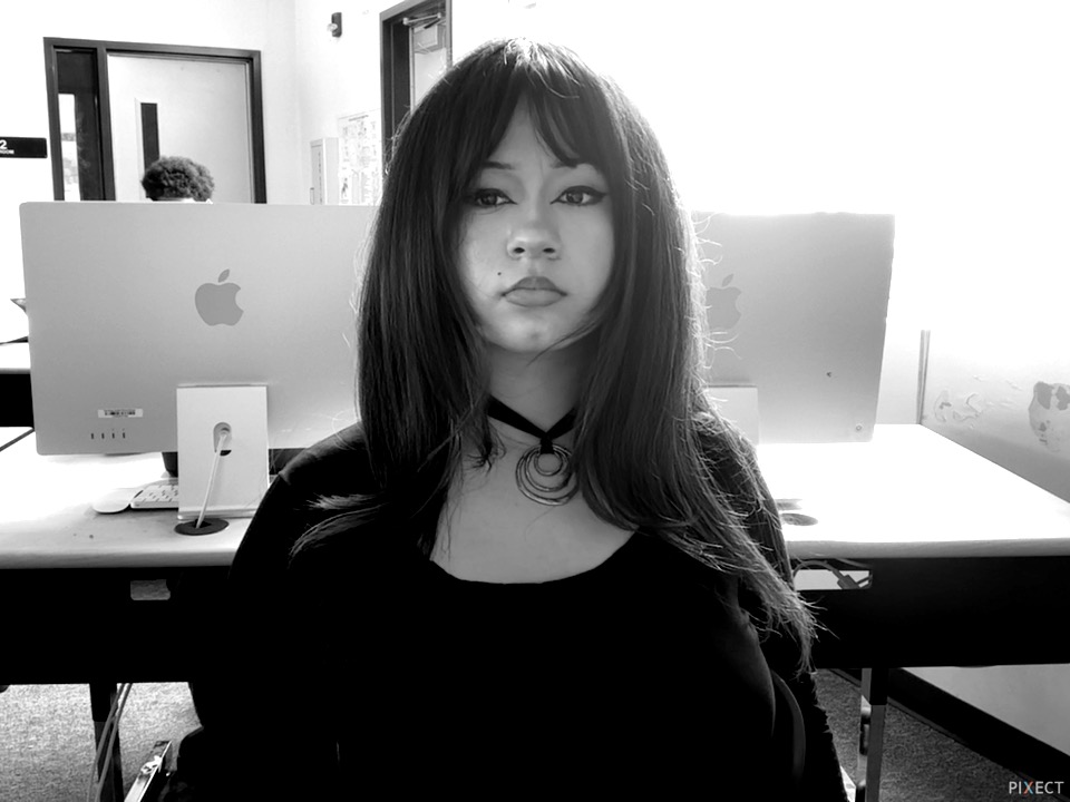 Pixect gallery photo #7fIfVPD8d