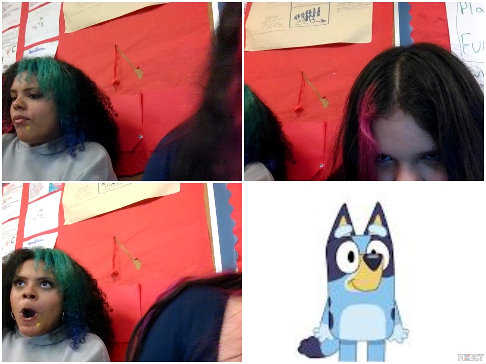 Pixect gallery photo #807wnQrvG