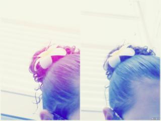 flower flower