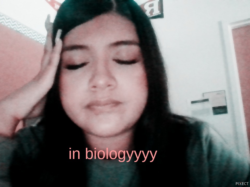 Pixect gallery photo #8mgBi7BPW