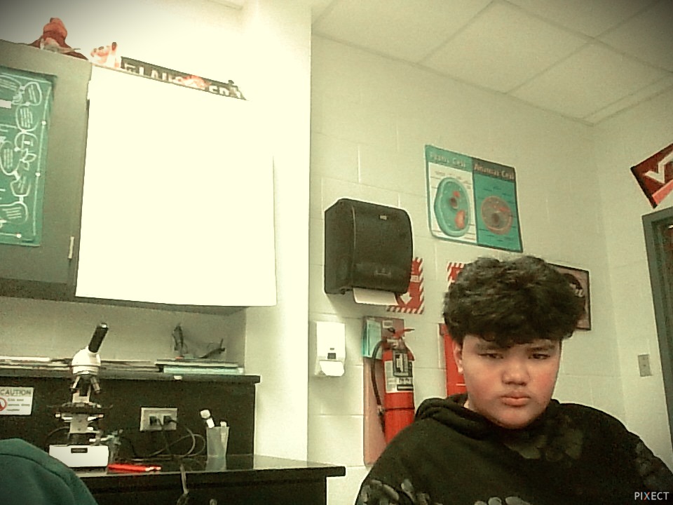 Pixect gallery photo #9Ani0XbtW