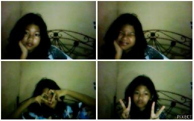 harimau harimau