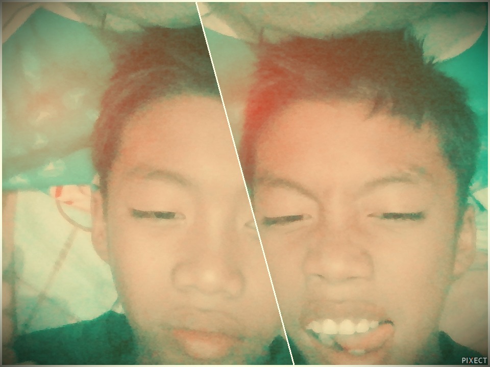 Pixect gallery photo #AOgBNHOH9