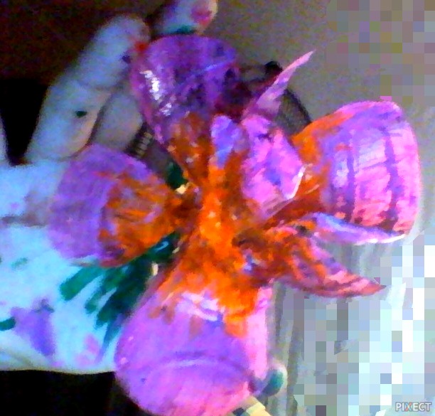 Pixect gallery photo #BMUYJ3TT