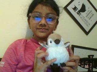 fly little bird by the way its name is coco