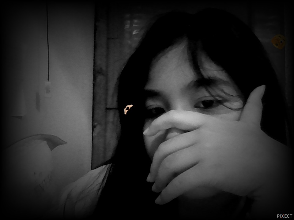 Pixect gallery photo #Bxzimcmd9