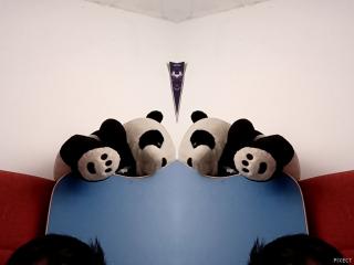 Amor de pandas