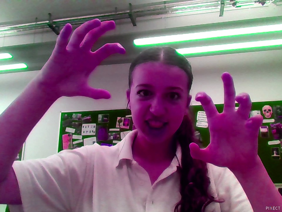 Pixect gallery photo #CbO470LU