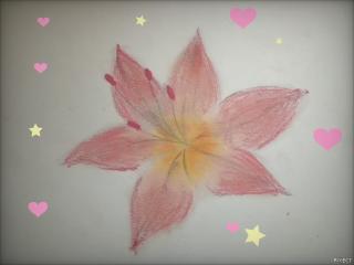 do you guys like it