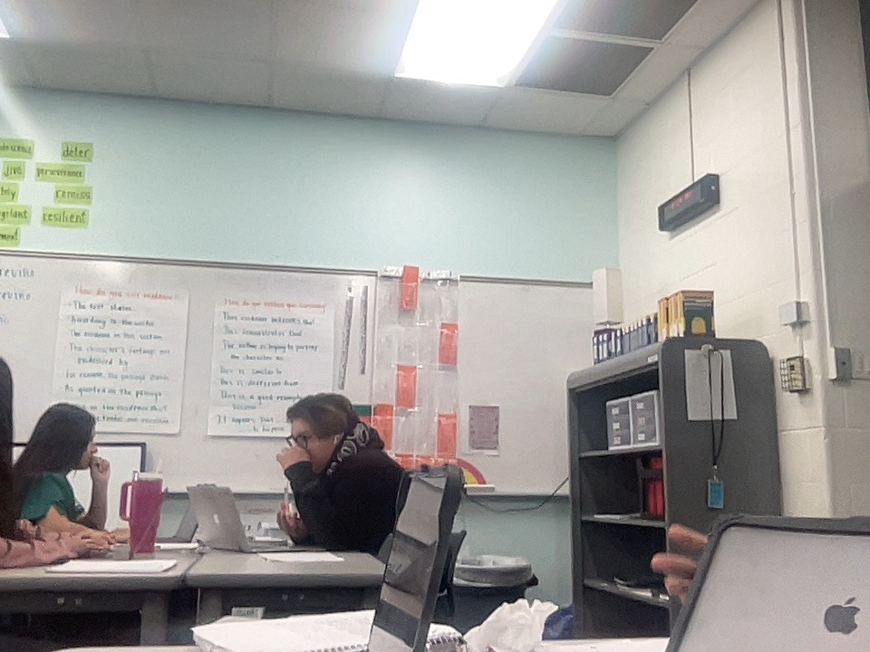 Pixect gallery photo #EWM5hRlKG