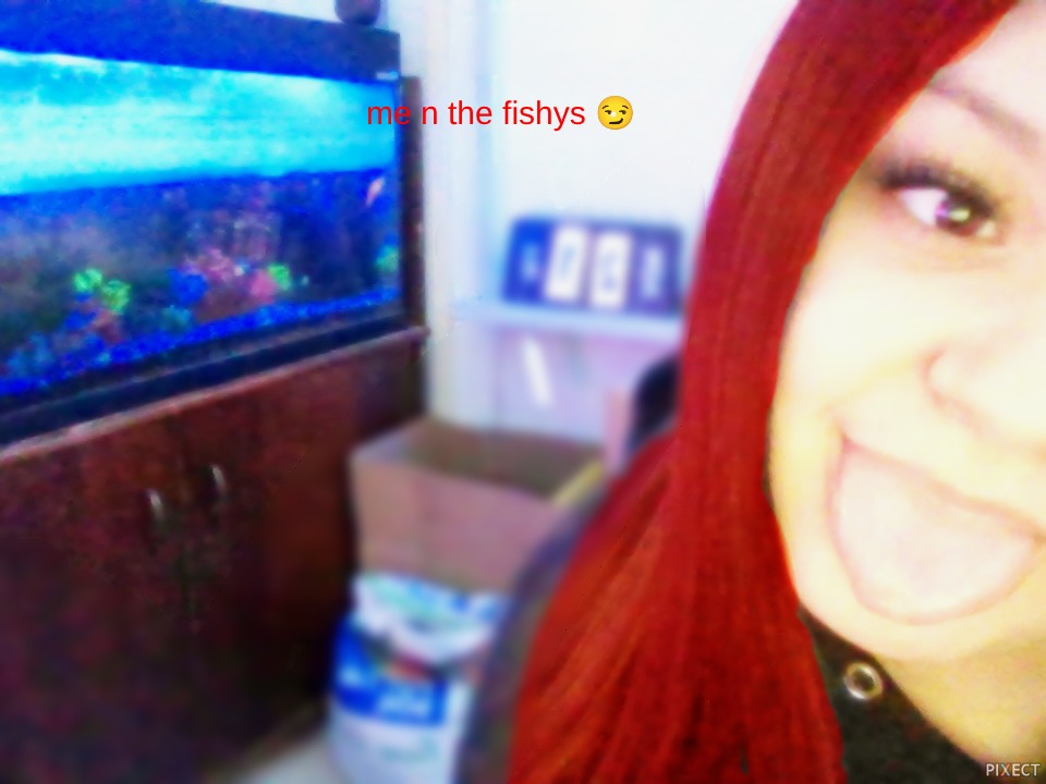 Pixect gallery photo #FLHPVr2SW