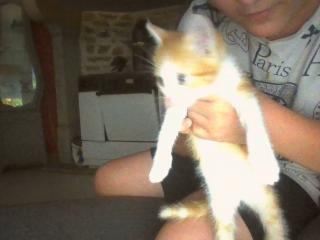 mon nv chat mon nv chat