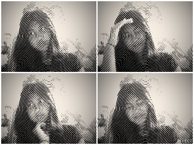 Pixect gallery photo #HZiVpwxN9