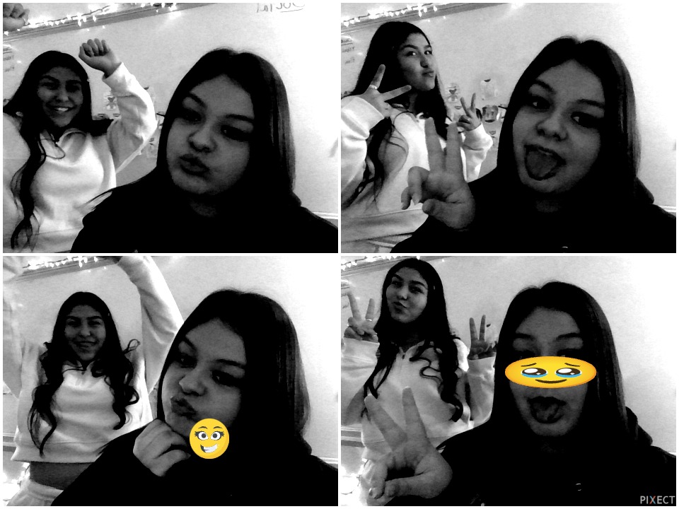 Pixect gallery photo #I271NIBSW