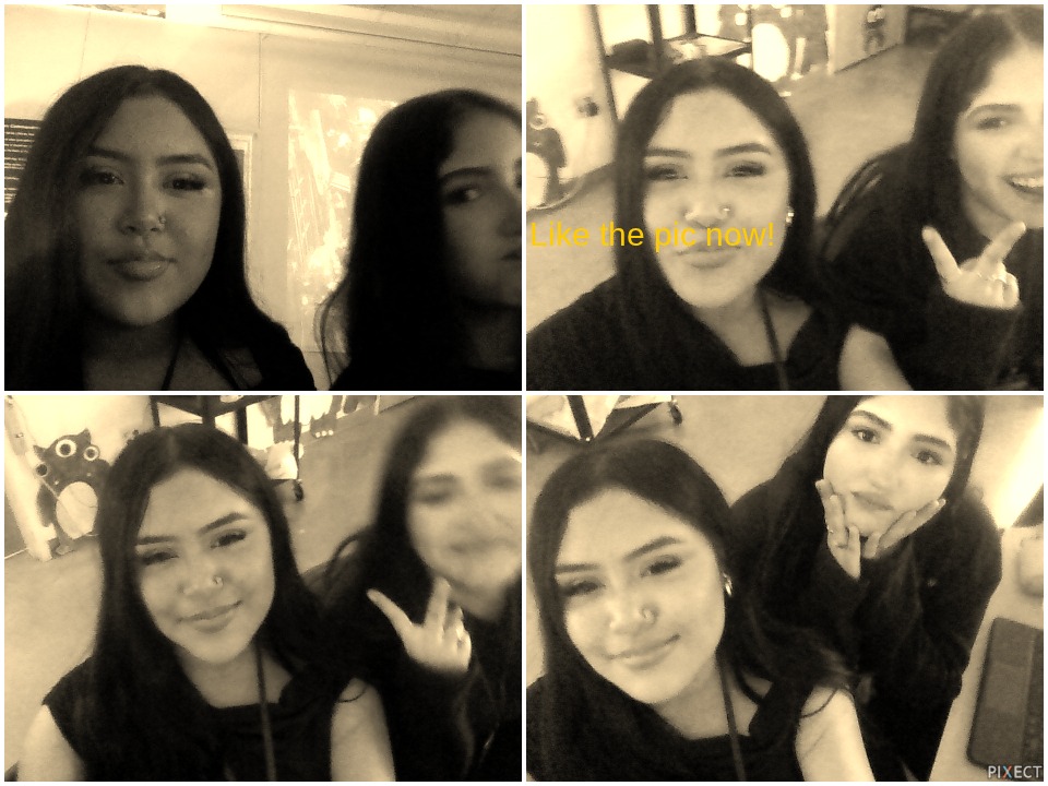 Pixect gallery photo #IG0JwKhgG