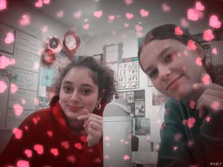 Cute little chiwawa's