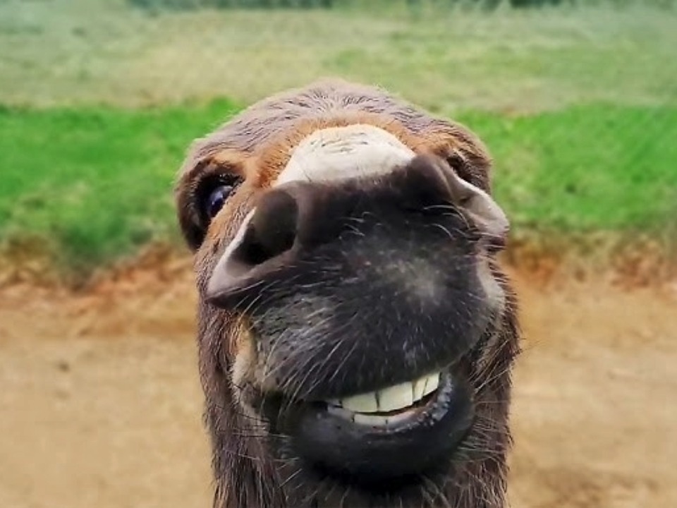 Pixect gallery photo #LmMxvOypG