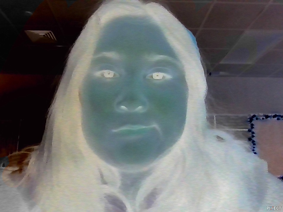 Pixect gallery photo #LosL07IV9