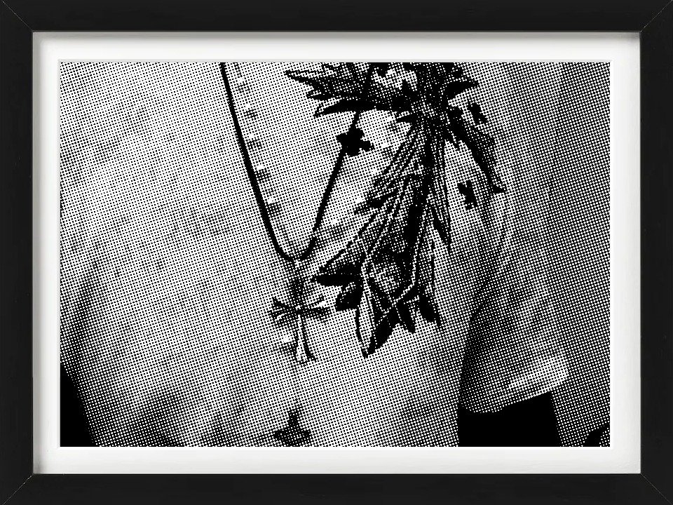 Pixect gallery photo #NYLvKi1tG