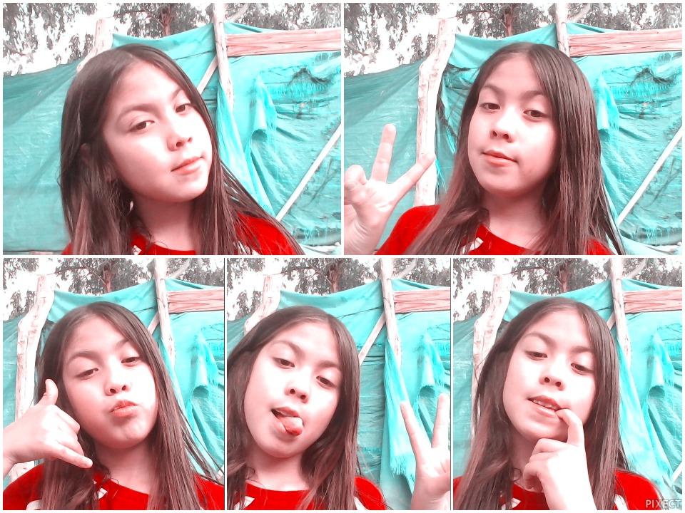 Pixect gallery photo #NmA6d46k