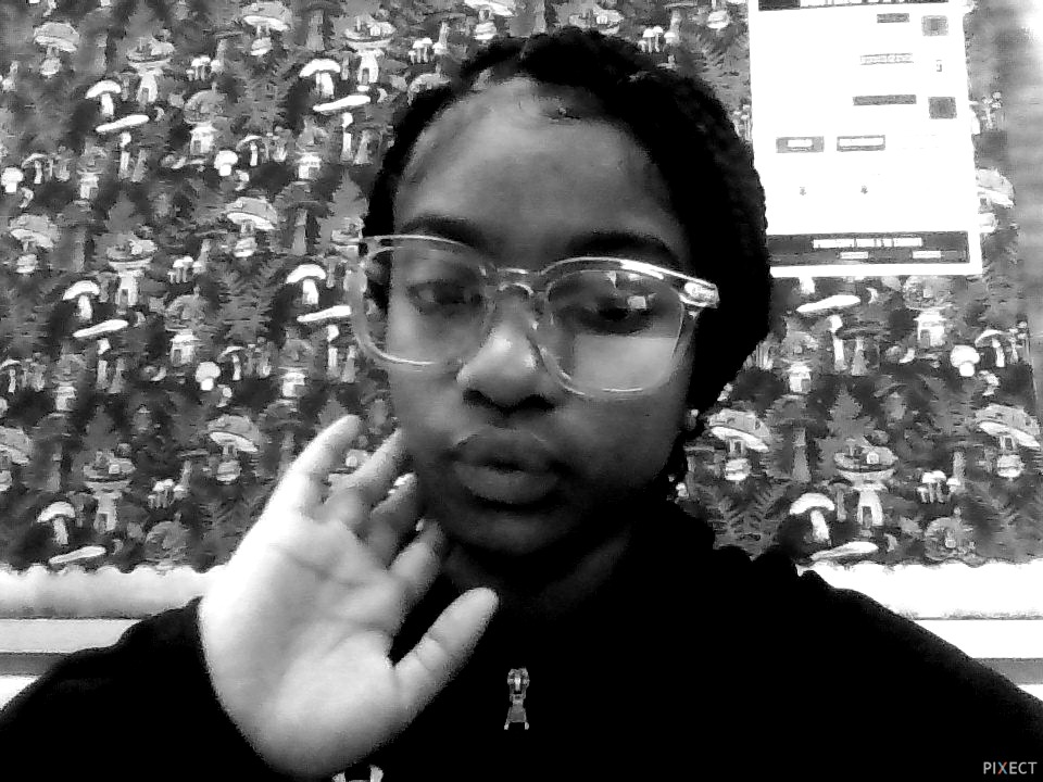 Pixect gallery photo #O5SN3pTD