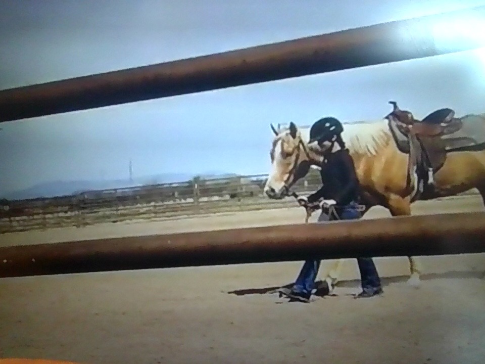 Pixect gallery photo #Osz1DTOL