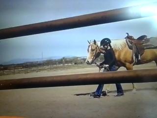 Just doing my horse riding