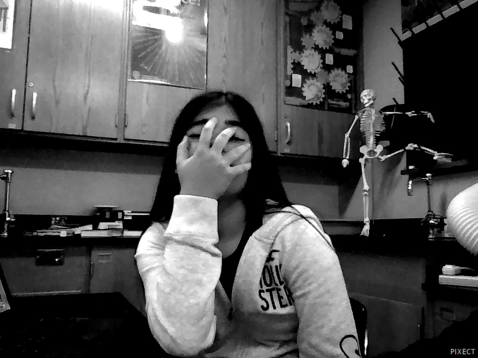 Pixect gallery photo #OtzCc9mb