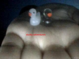 ducky adventures platformer