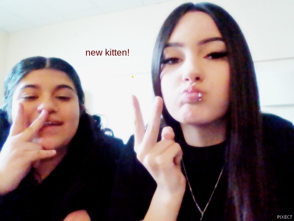 Pixect gallery photo #P2N3R75gG