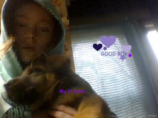 Just my new puppy chilling with me...