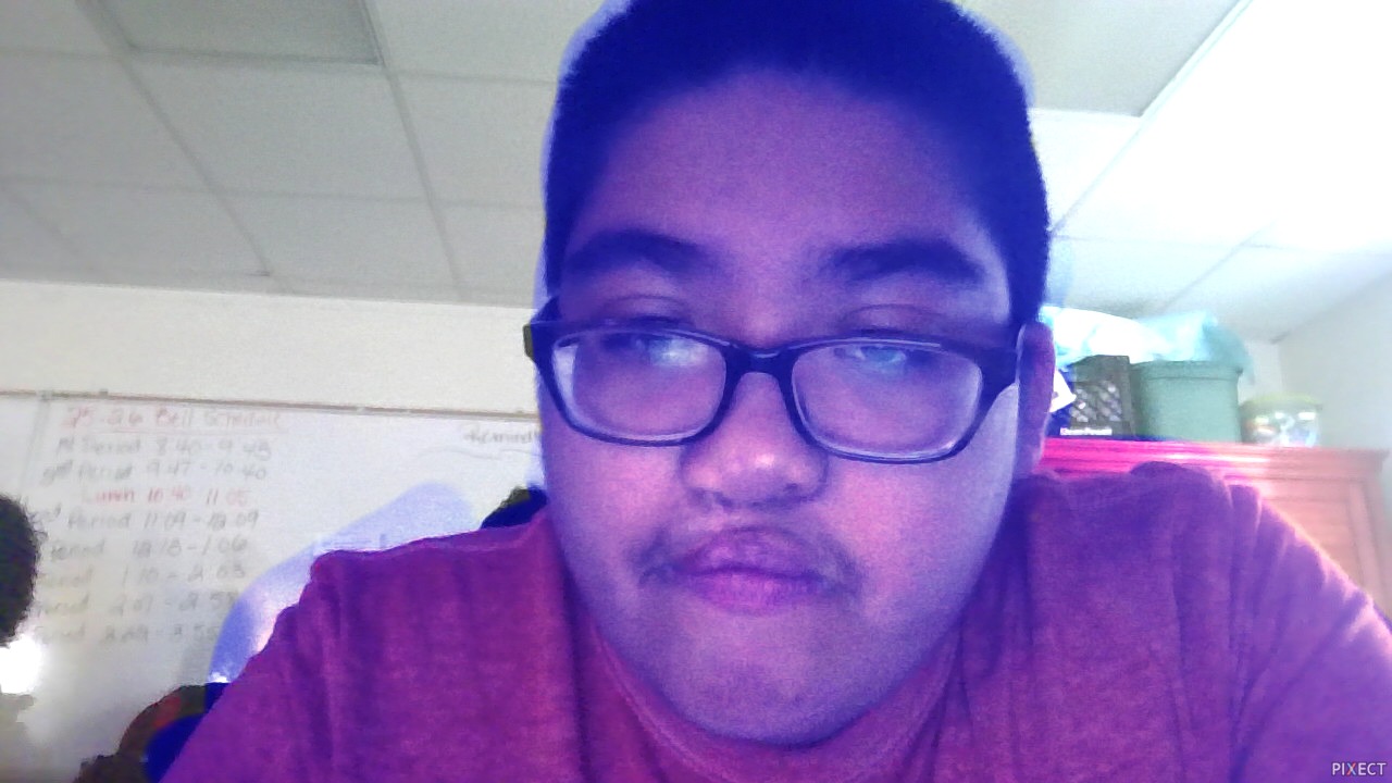 Pixect gallery photo #PhHJos0mG