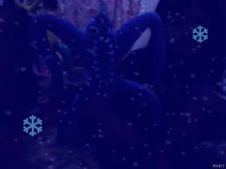 poor nabnab.this wheater is cold poor nabnab.this wheater is cold