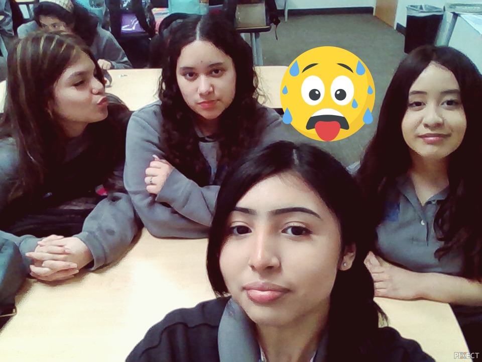 Pixect gallery photo #Qz0DzDBPW