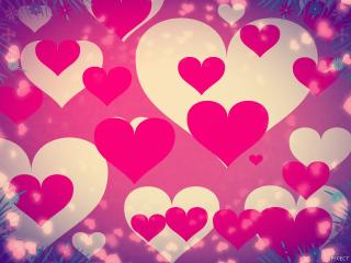 Happy Valentine's Day !!!!!!!❤❤❤