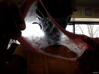 SLIME!!!!!!!1 SLIME!!!!!!!1