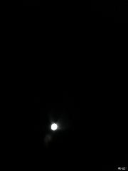 Full moon Panama City Fl. 2020