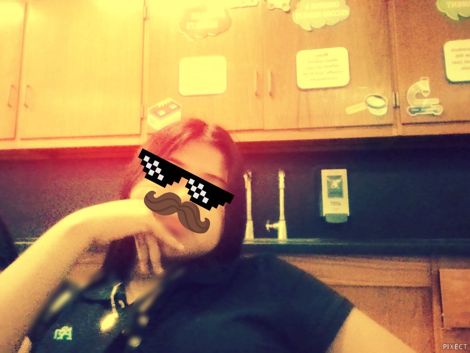 Pixect gallery photo #SpFKgxP1G
