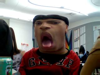@amigos4life