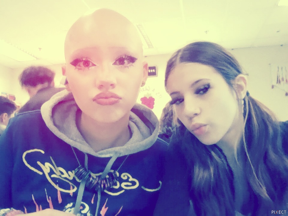 Pixect gallery photo #VGqBPau2W