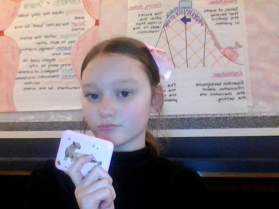 Pixect gallery photo #VrHz2Fn2W