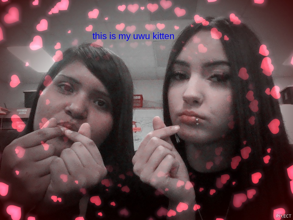 Pixect gallery photo #XkNSIiZgG