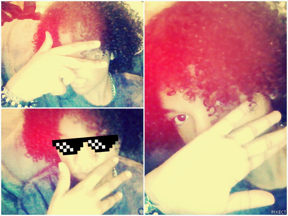 Pixect gallery photo #ZEJqquGn9