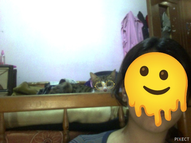 Pixect gallery photo #bHXajyUf9