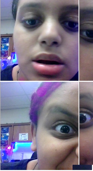 Pixect gallery photo #c2ikELlP